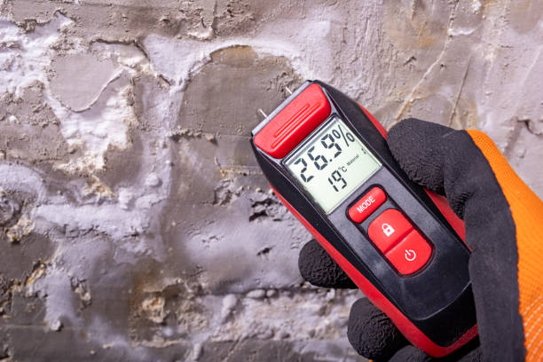 Mold Removal Process in Jamestown, CA