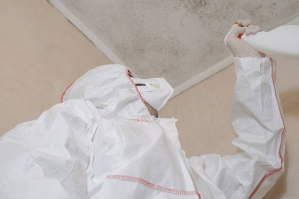 Best Mold Testing  in Jamestown, CA