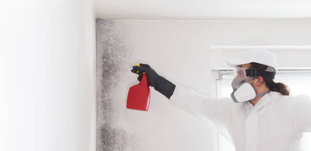 Best Professional Mold Removal  in Jamestown, CA