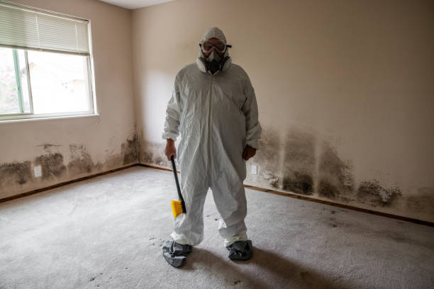 Best Certified Mold Removal  in Jamestown, CA
