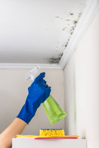 Best Crawl Space Mold Removal  in Jamestown, CA